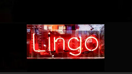 Lingo 1