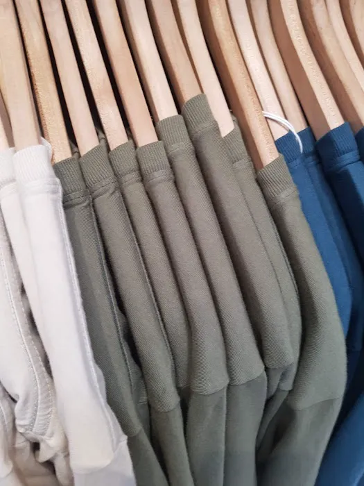 Everlane 4