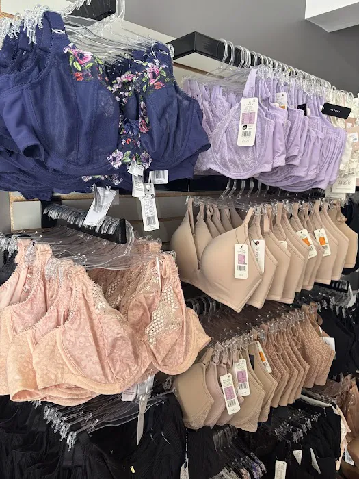 The Bra Fit Expert 1