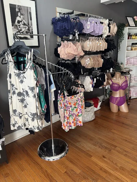 The Bra Fit Expert 6