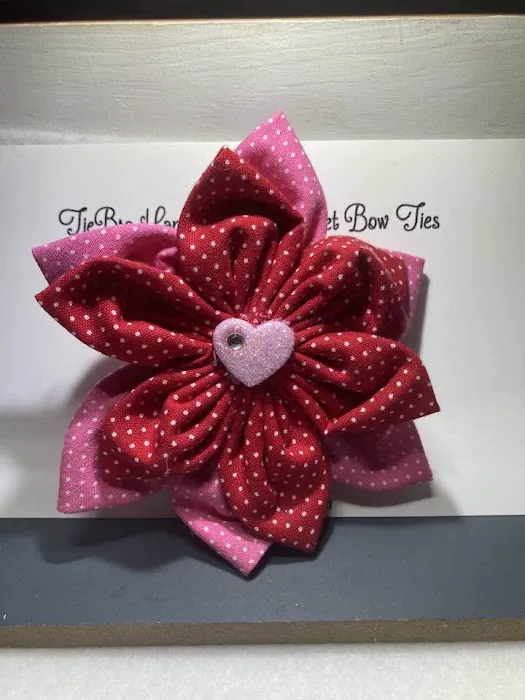 TieBro Handmade Bow Ties 8