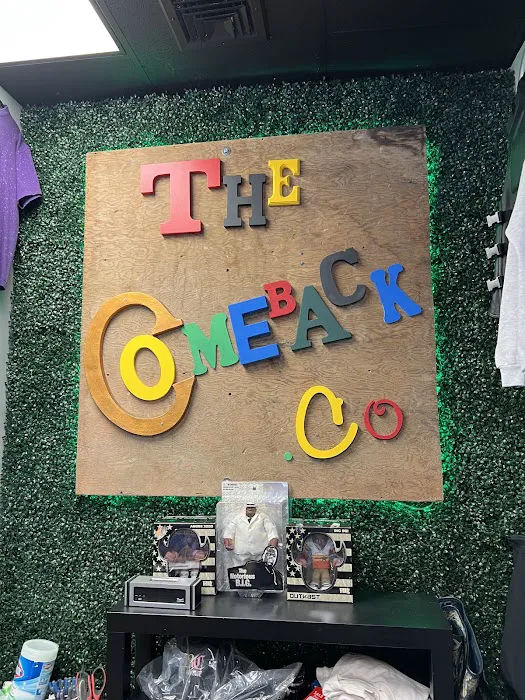 The Comeback 1