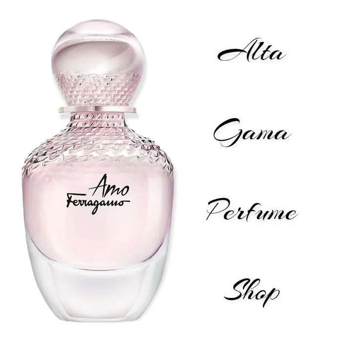 Alta Gama Perfume Shop 7
