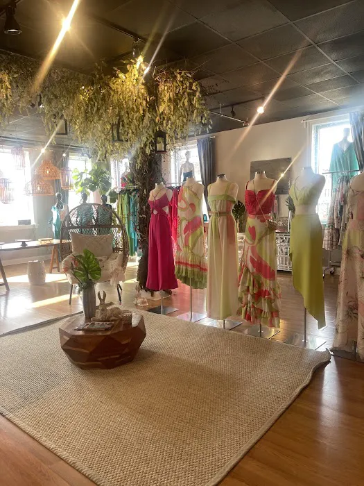 Brazilian closet 0