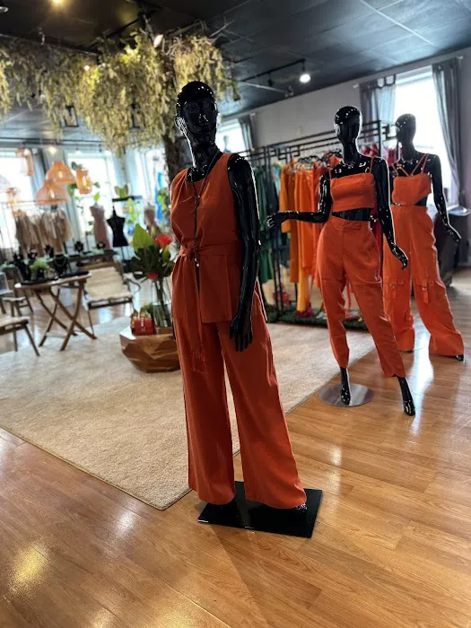 Brazilian closet 2