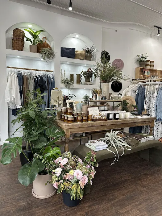 301 Collective X Rudo Plants & Home 2