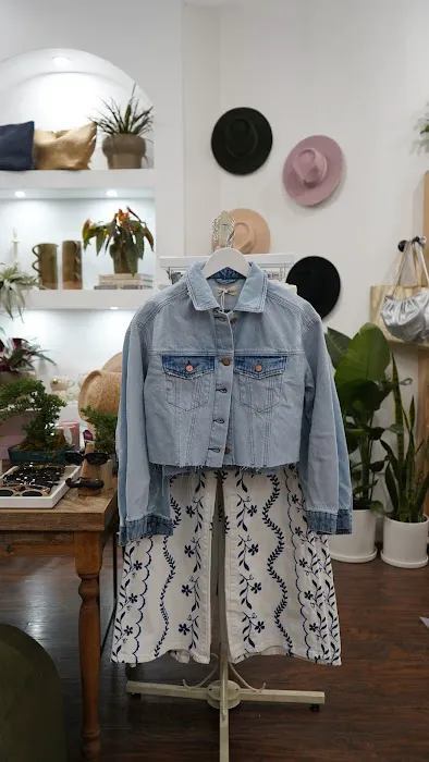 301 Collective X Rudo Plants & Home 8