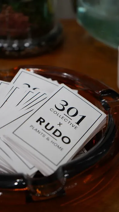 301 Collective X Rudo Plants & Home 3