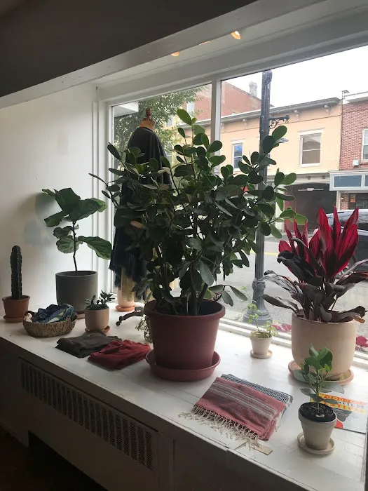Bosco's Little Shop 0